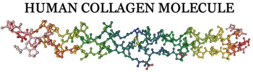 Molécula de Colágeno Estrutura