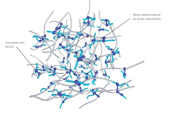 Biogelis estrutura